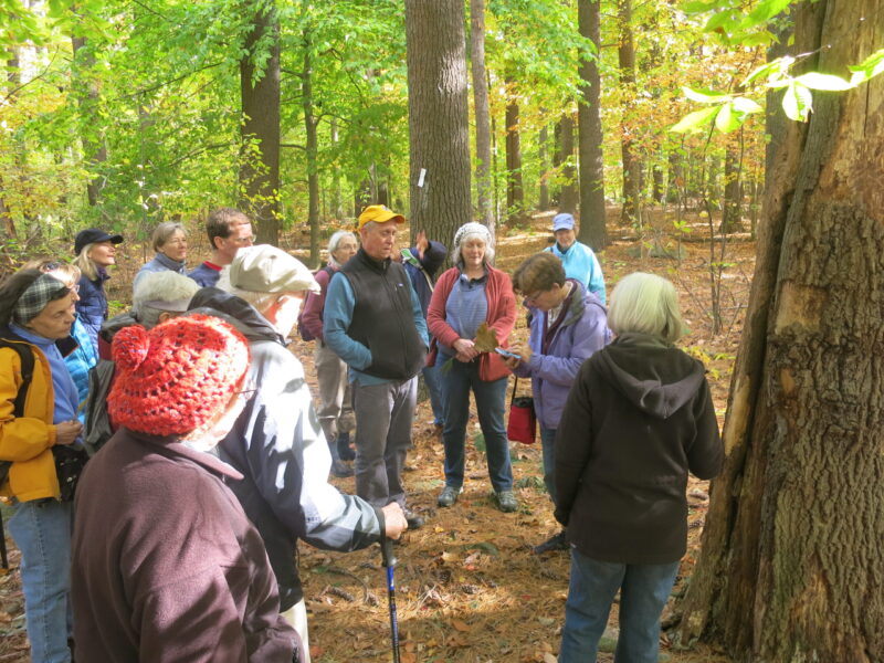 Meagherville Guided Walk