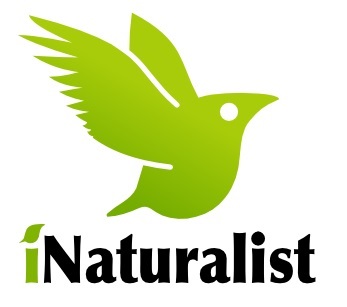 iNaturalist