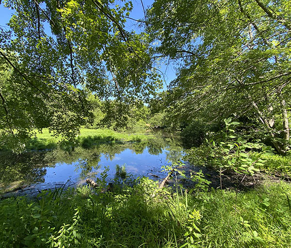 Parker Meadow Pond